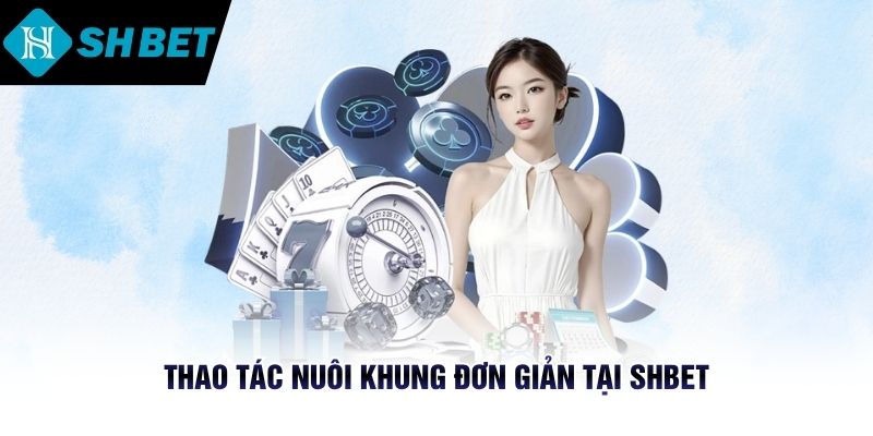Thao tác nuôi khung đơn giản tại SHBET